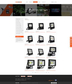 從民治到深圳 一站式數字解決方案，助力歐美克照明照亮全球市場